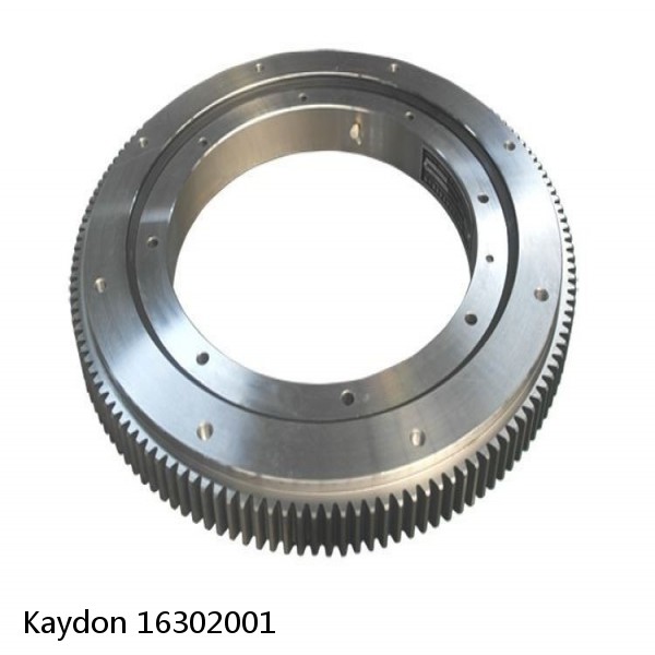 16302001 Kaydon Slewing Ring Bearings