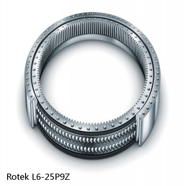L6-25P9Z Rotek Slewing Ring Bearings