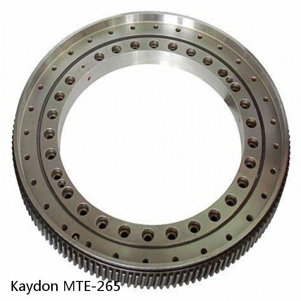 MTE-265 Kaydon Slewing Ring Bearings #1 small image