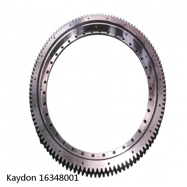16348001 Kaydon Slewing Ring Bearings #1 small image