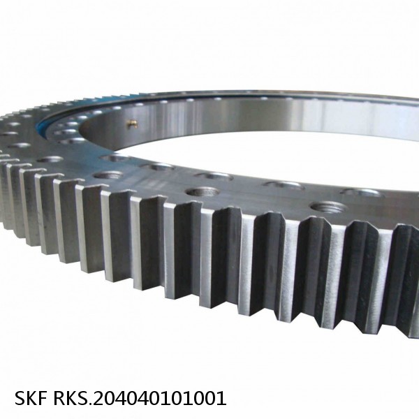 RKS.204040101001 SKF Slewing Ring Bearings #1 small image