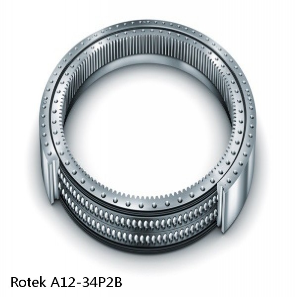A12-34P2B Rotek Slewing Ring Bearings #1 small image