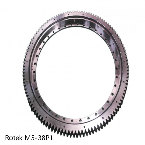 M5-38P1 Rotek Slewing Ring Bearings #1 small image