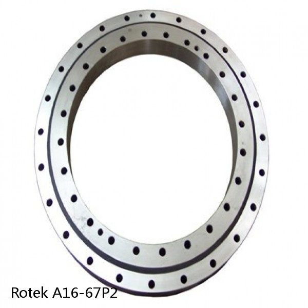 A16-67P2 Rotek Slewing Ring Bearings #1 small image