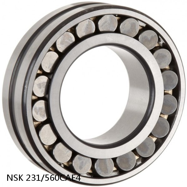 231/560CAE4 NSK Spherical Roller Bearing #1 small image