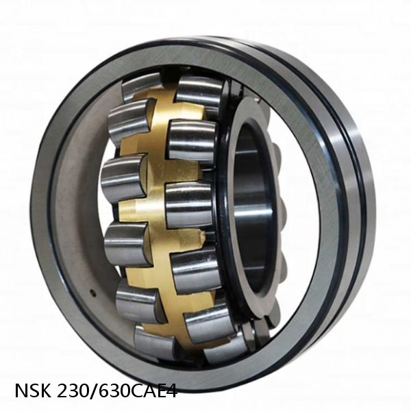 230/630CAE4 NSK Spherical Roller Bearing #1 small image