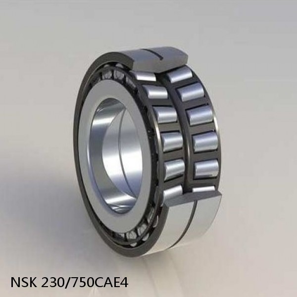 230/750CAE4 NSK Spherical Roller Bearing #1 small image