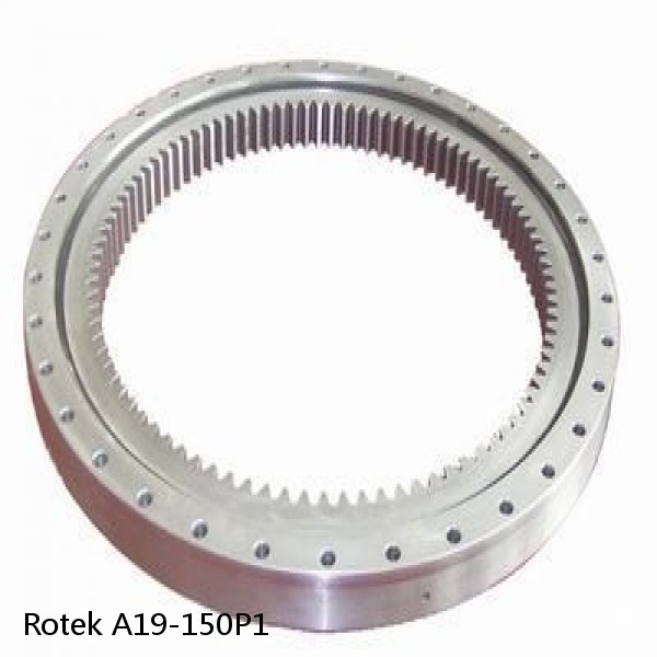 A19-150P1 Rotek Slewing Ring Bearings #1 small image
