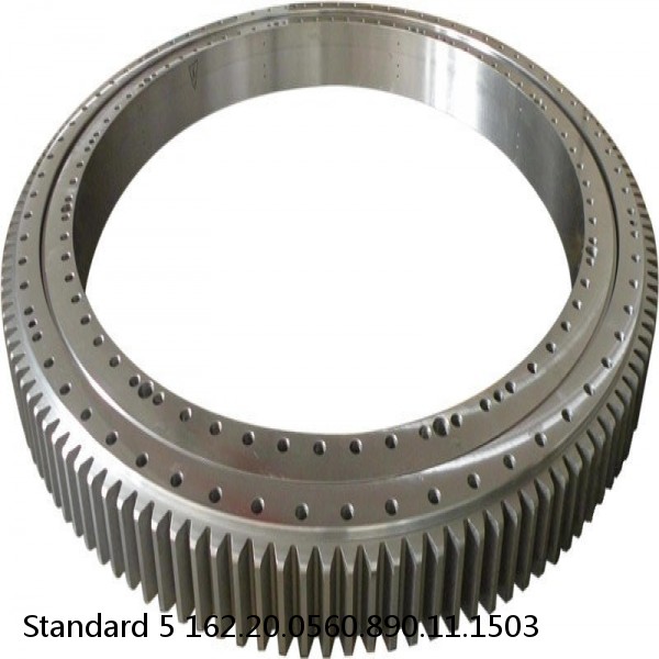 162.20.0560.890.11.1503 Standard 5 Slewing Ring Bearings #1 small image