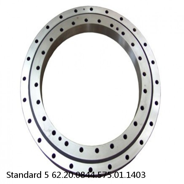 62.20.0844.575.01.1403 Standard 5 Slewing Ring Bearings