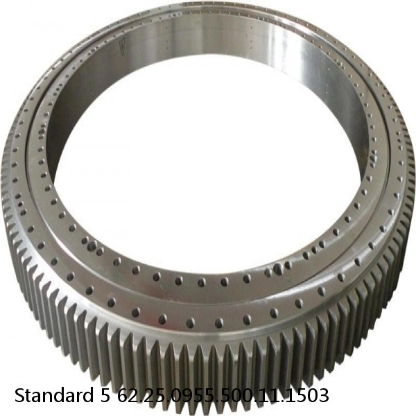 62.25.0955.500.11.1503 Standard 5 Slewing Ring Bearings