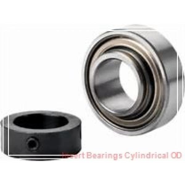 AMI SUE205  Insert Bearings Cylindrical OD #1 image