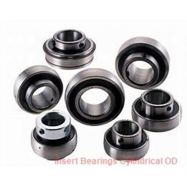 AMI BR1  Insert Bearings Cylindrical OD #1 image