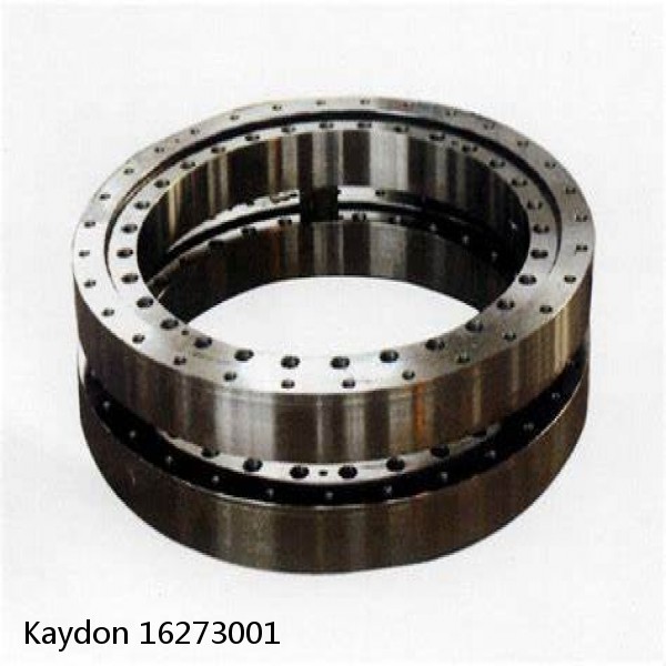 16273001 Kaydon Slewing Ring Bearings #1 image