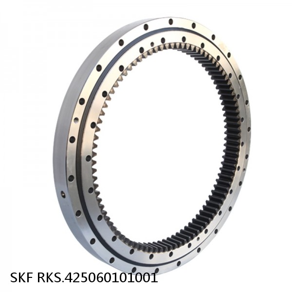 RKS.425060101001 SKF Slewing Ring Bearings #1 image