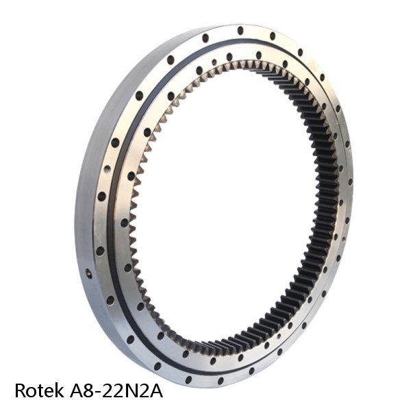 A8-22N2A Rotek Slewing Ring Bearings #1 image