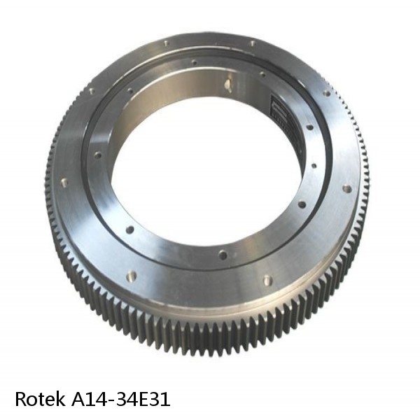 A14-34E31 Rotek Slewing Ring Bearings #1 image