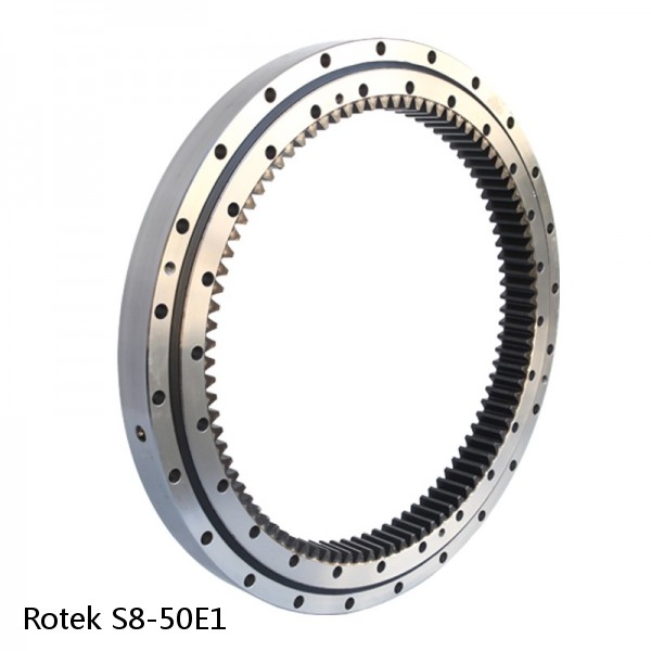 S8-50E1 Rotek Slewing Ring Bearings #1 image