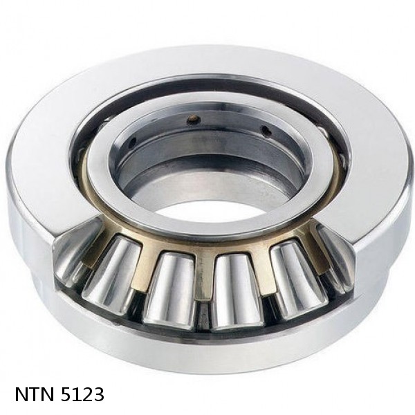 5123 NTN Thrust Spherical Roller Bearing #1 image